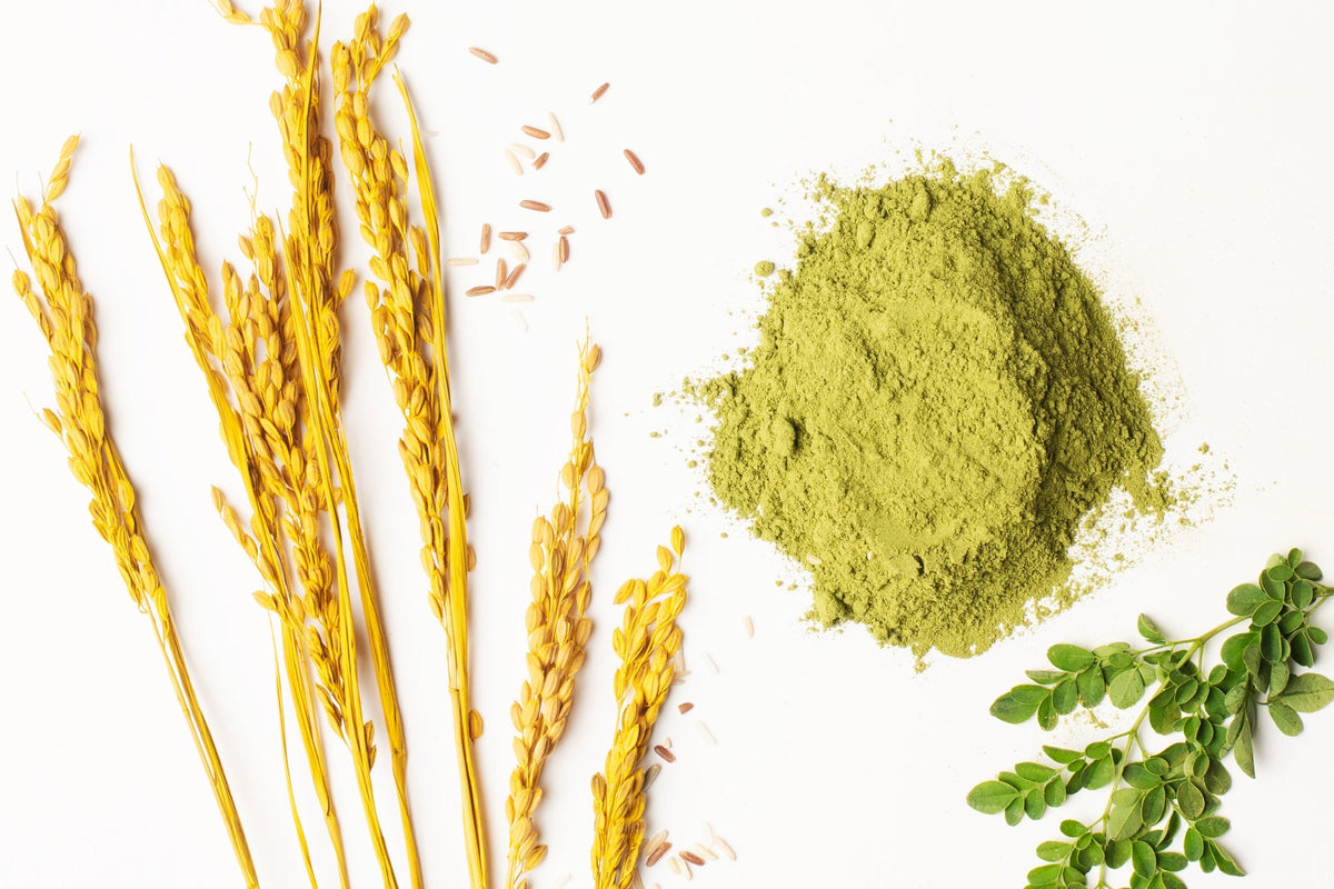 The Benefits of Rice Water in Your Hair Care Routine