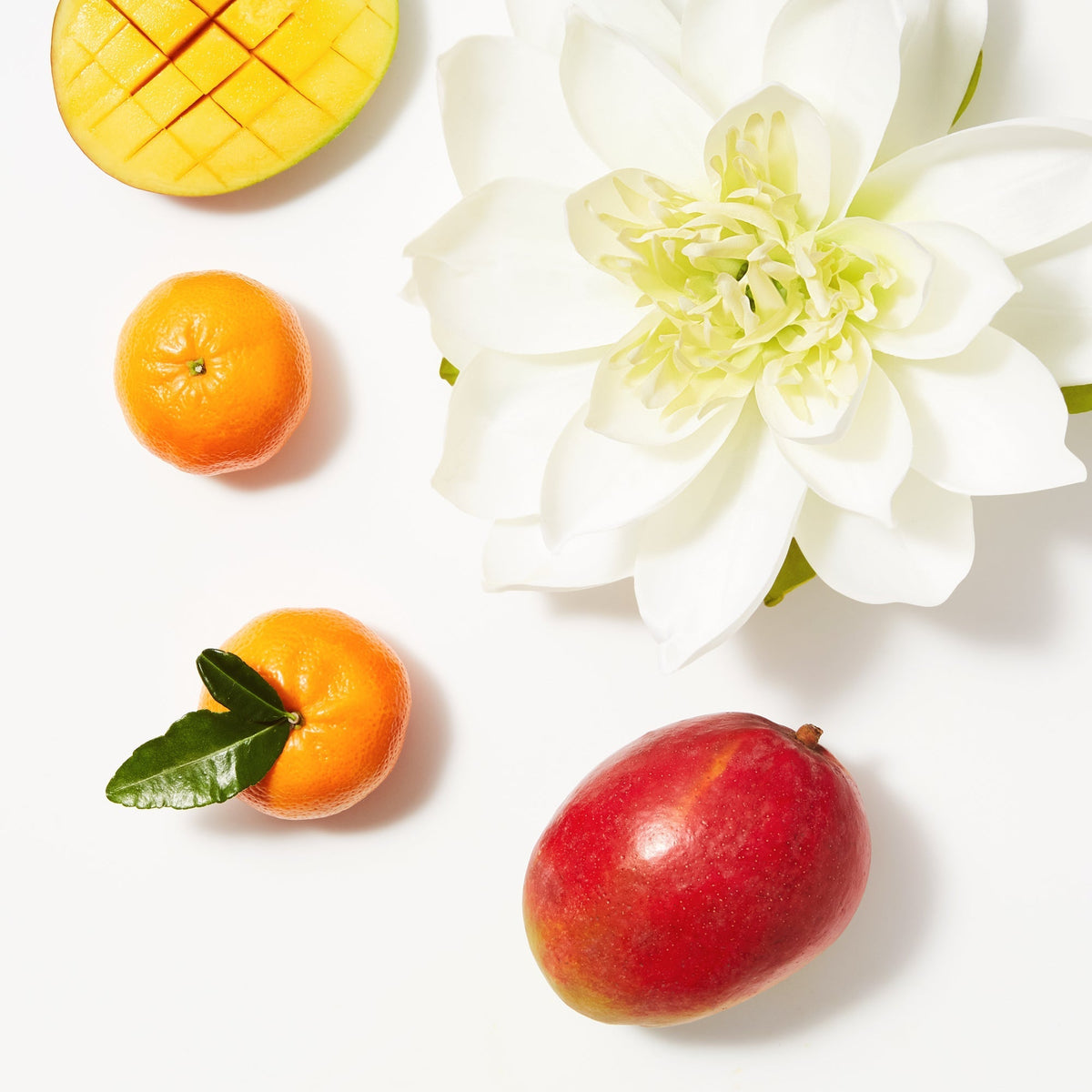 How to Layer Hair Product Fragrance for Lasting a Smell