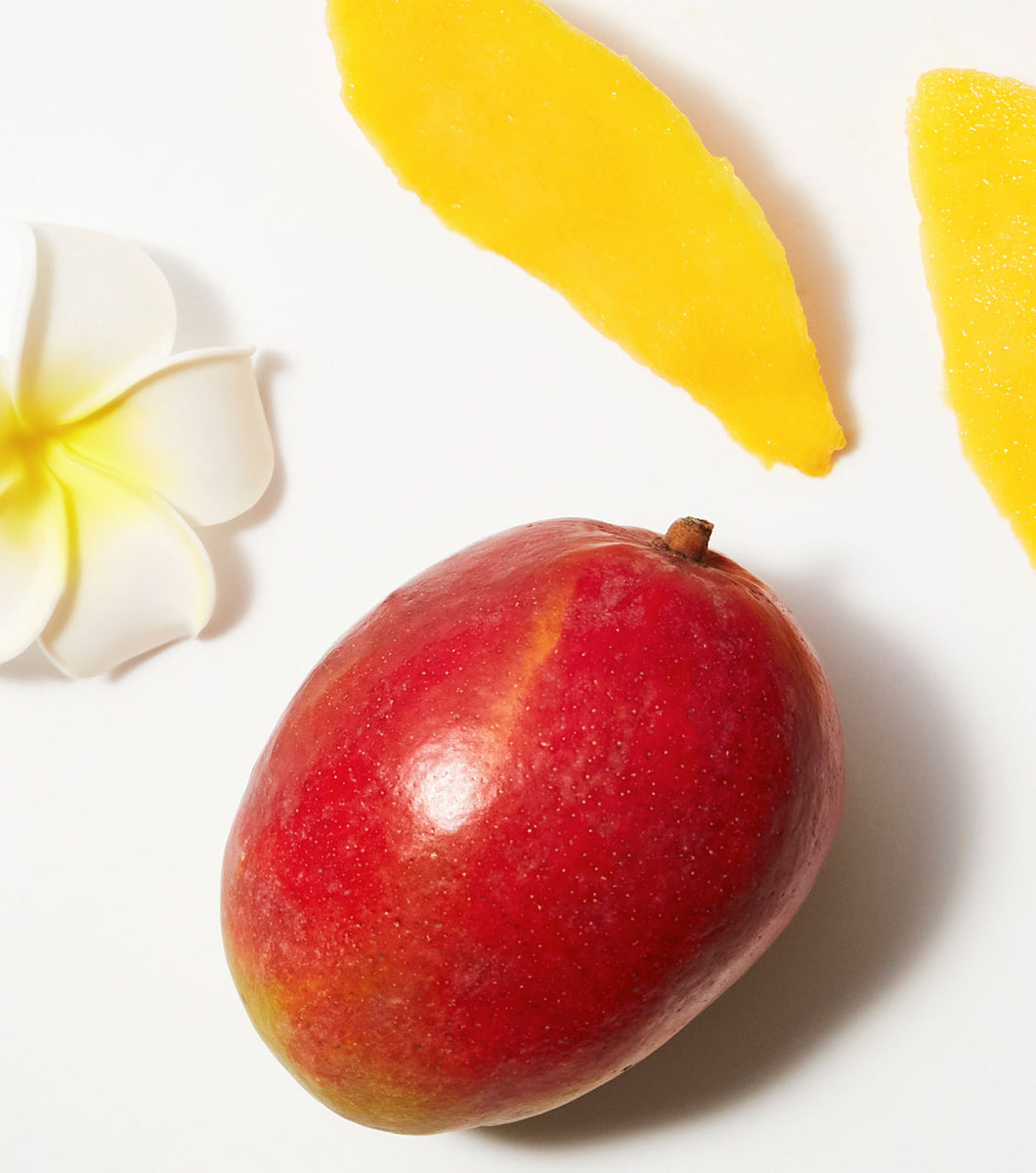 Tahitian Gardenia Flower & Mango Butter Detangler Not Your Mother's